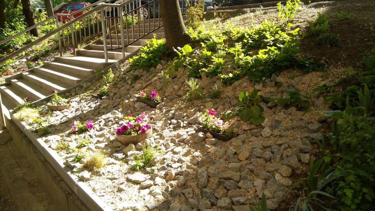 Gesztenyes Apartman Miskolc Ngoại thất bức ảnh