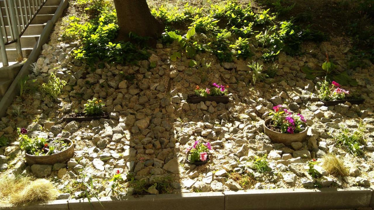 Gesztenyes Apartman Miskolc Ngoại thất bức ảnh